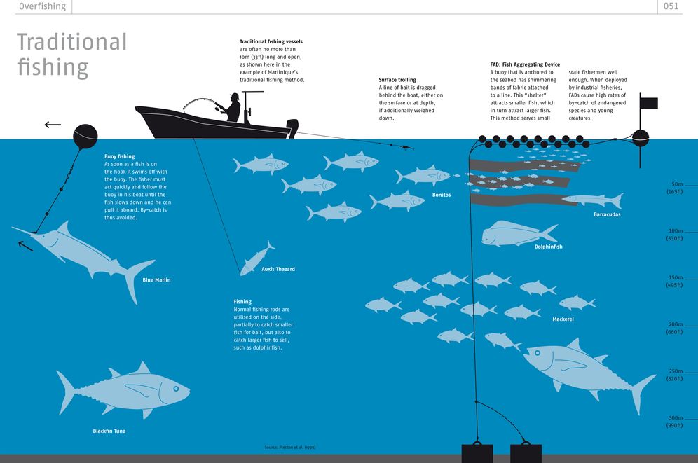 The Ocean Book: How endangered are our seas?
