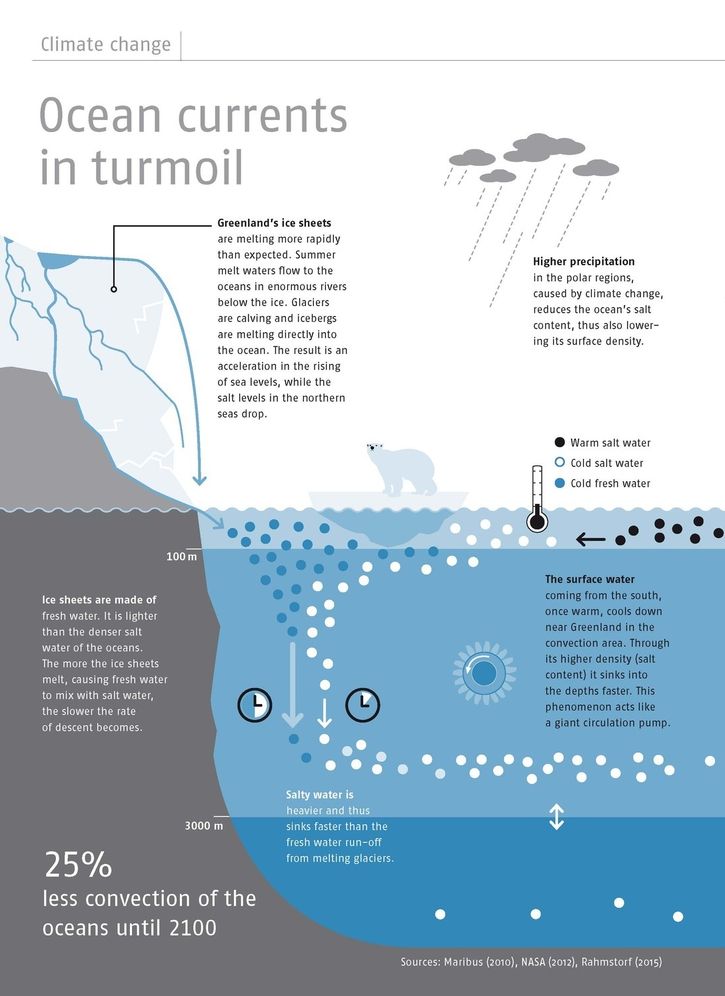 The Ocean Book: How endangered are our seas?