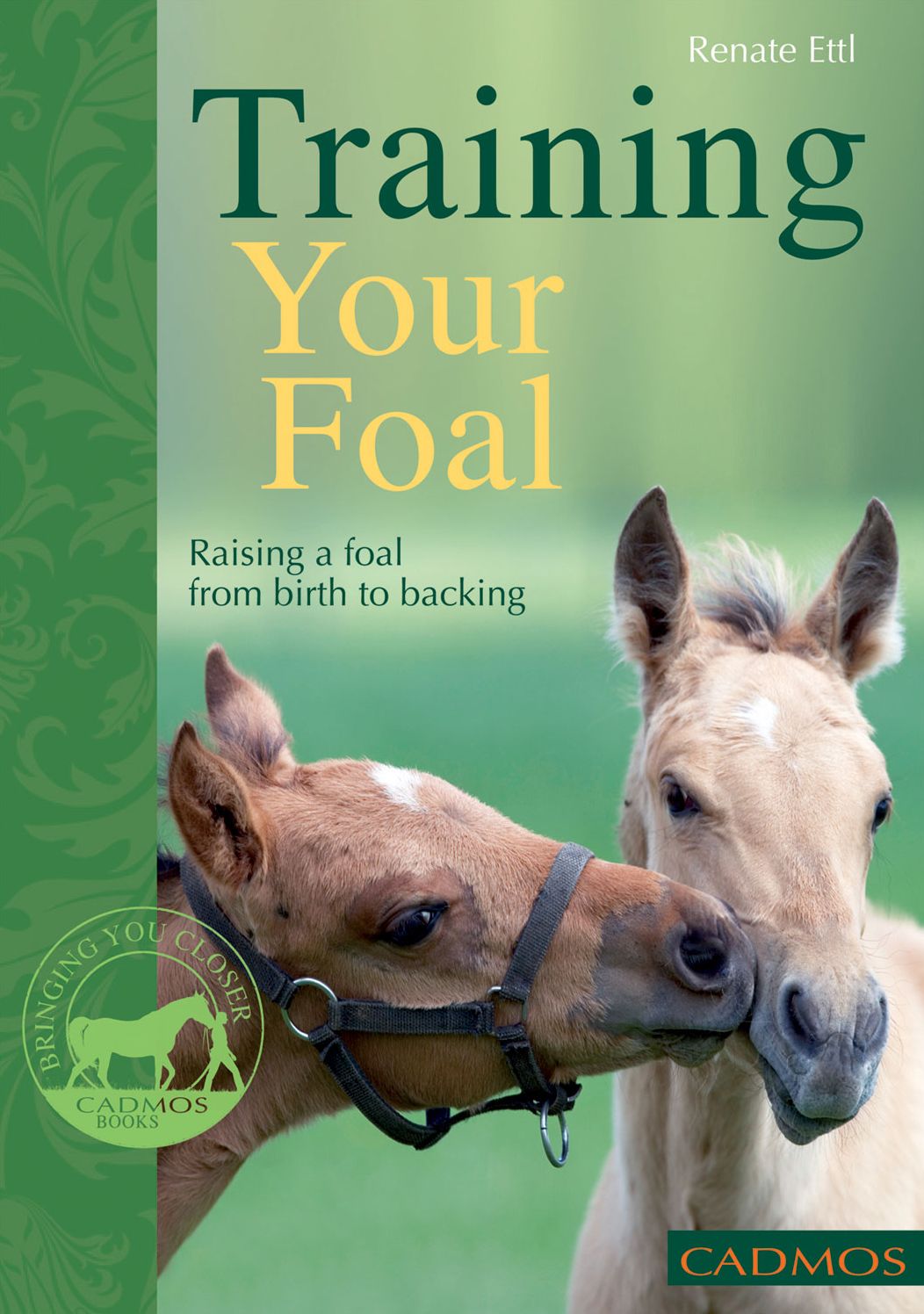 Training Your Foal: Raising a Foal From Birth to Backing