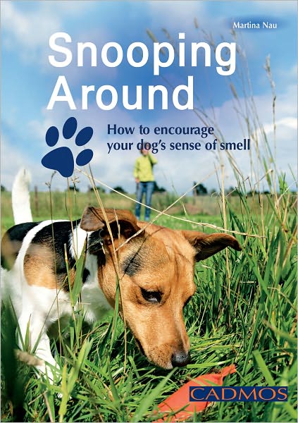 Snooping Around: How to Encourage Your Dog's Sense of Smell