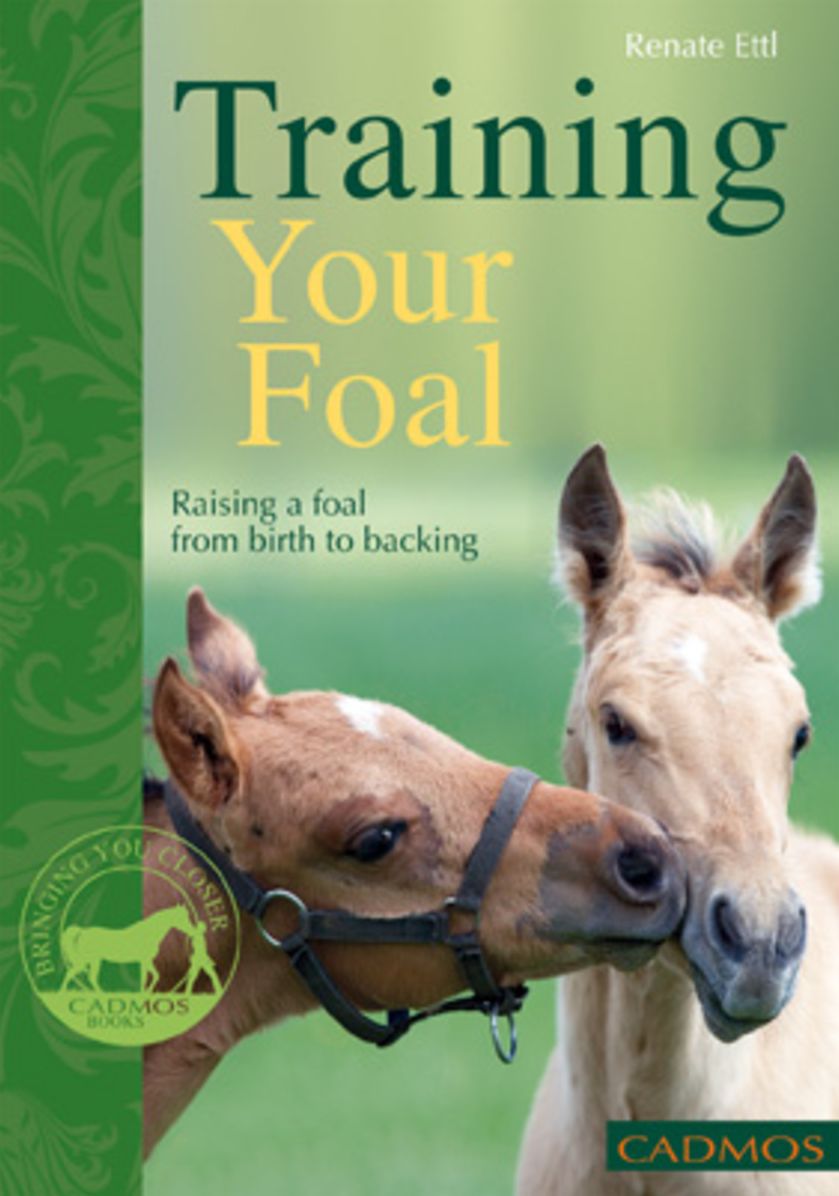 Training Your Foal: Raising a Foal From Birth to Backing
