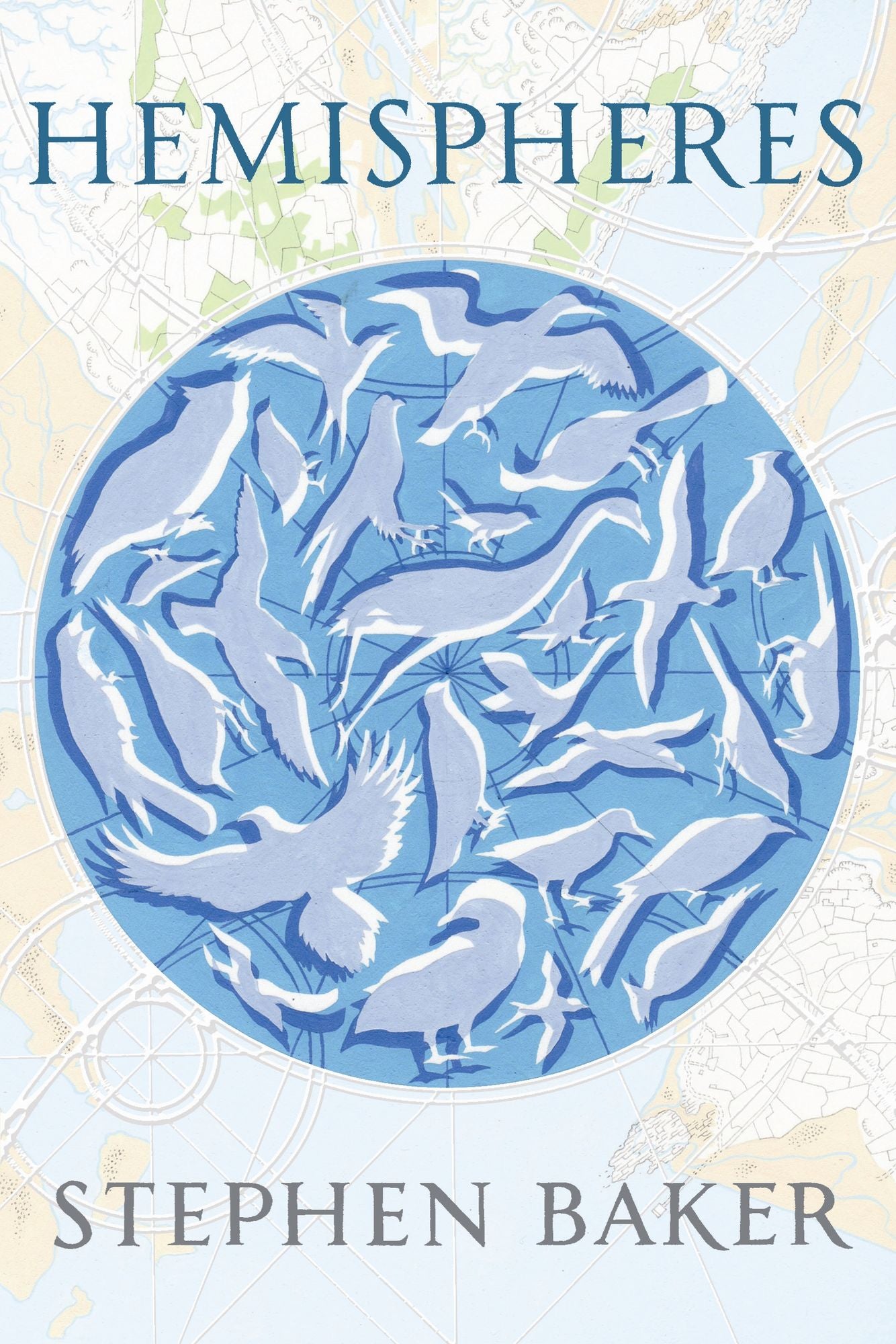 Hemispheres: A Novel of Family, Birds and Coming Home