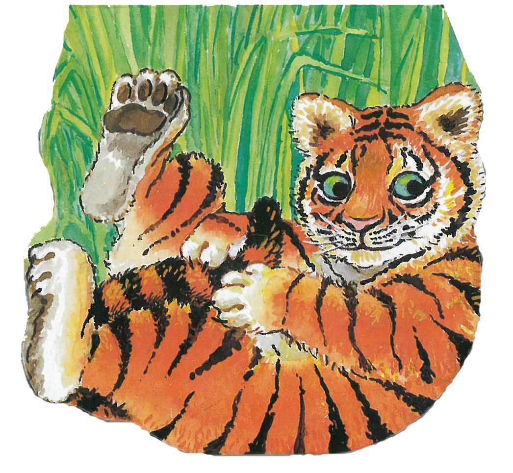 Pocket Tiger