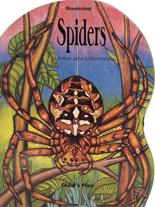 Spiders