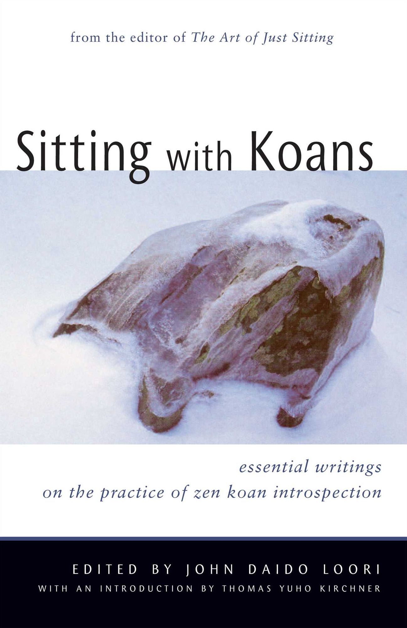 Sitting with Koans: Essential Writings on the Practice of Zen Koan Introspection