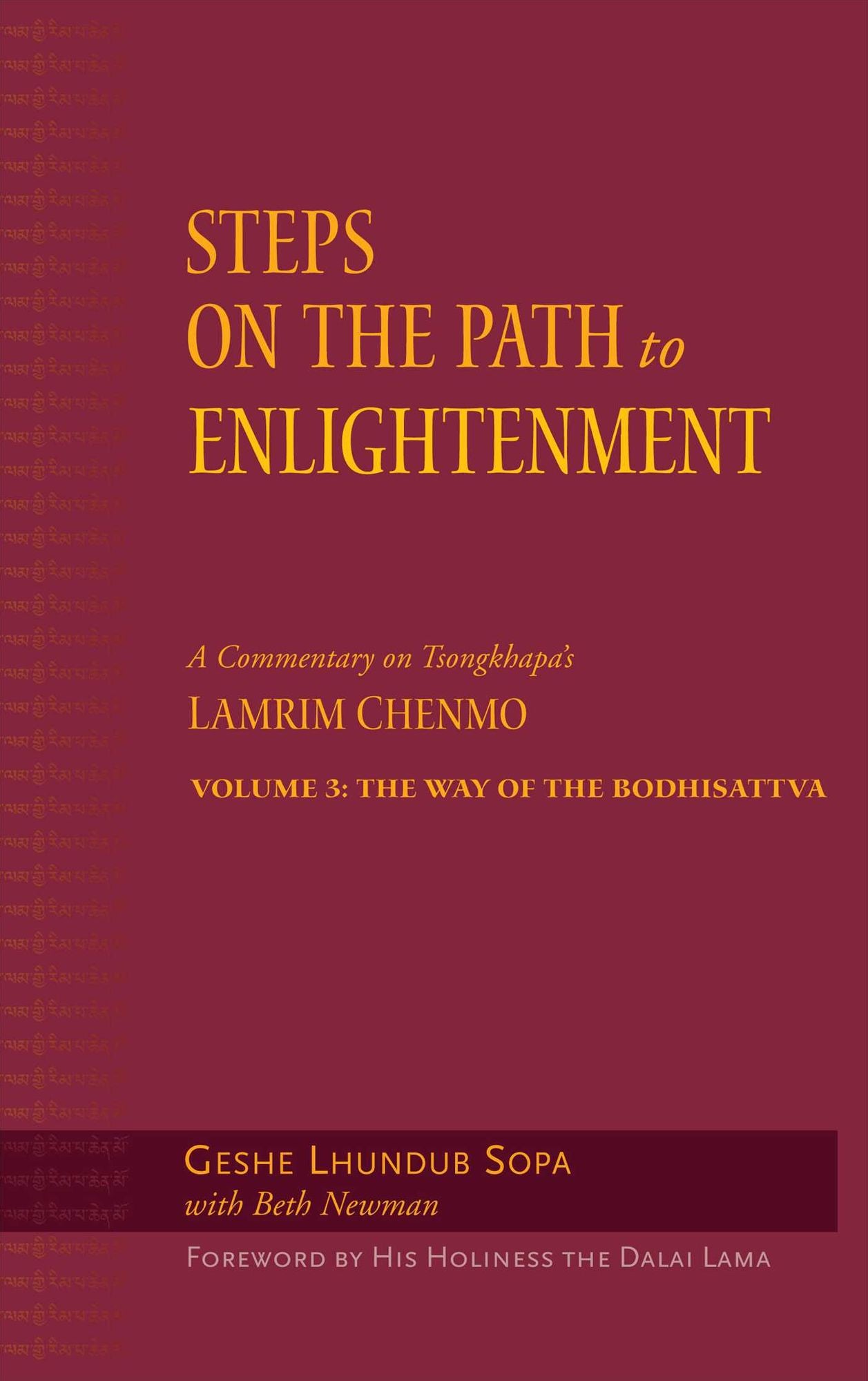 Steps on the Path to Enlightenment: The Way of the Bodhisattva: Volume 3