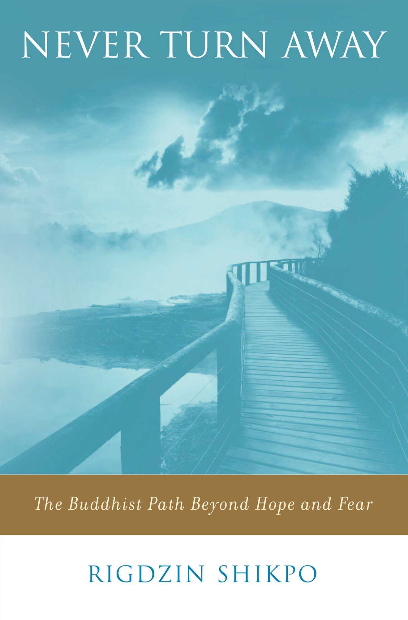 Never Turn Away: The Buddhist Path Beyond Hope and Fear