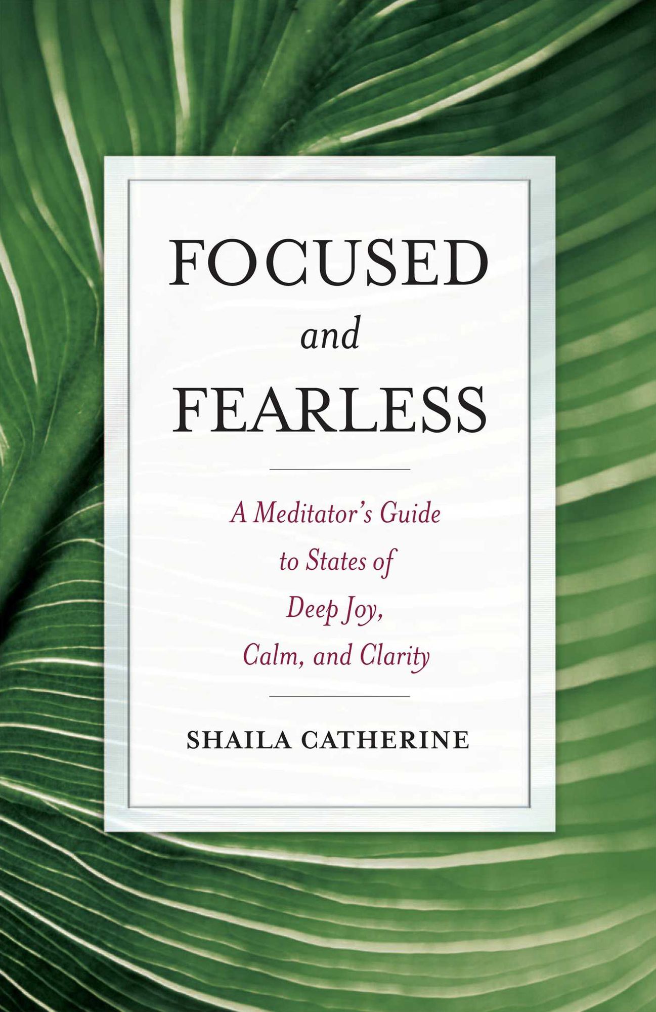 Focused and Fearless: A Meditator's Guide to States of Deep Joy, Calm, and Clarity