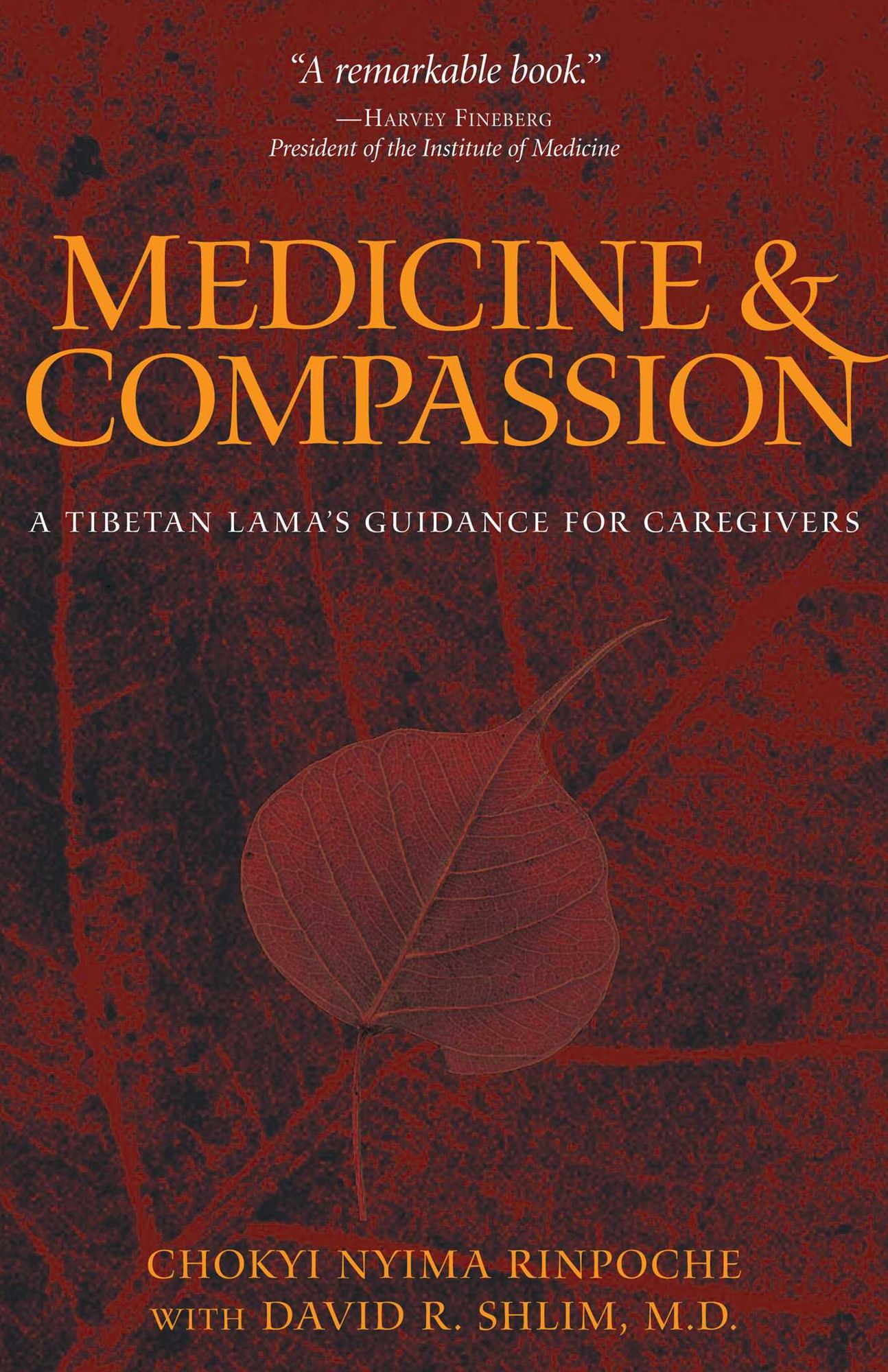 Medicine and Compassion: A Tibetan Lama's Guidance for Caregivers