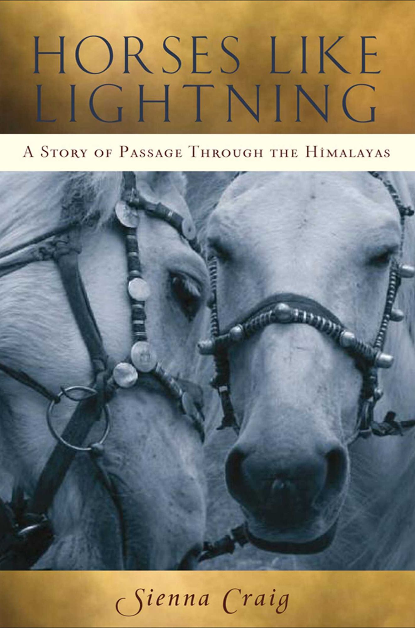 Horses Like Lightning: A Story of Passage Through the Himalayas