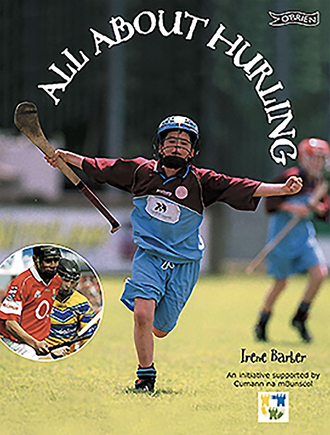 All About Hurling