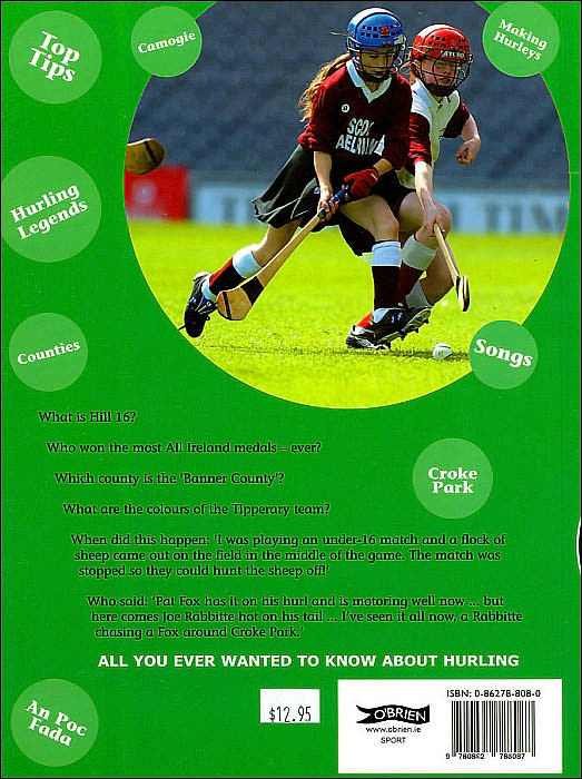 All About Hurling