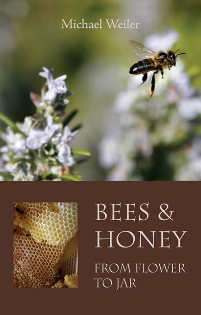 Bees and Honey: From Flower to Jar