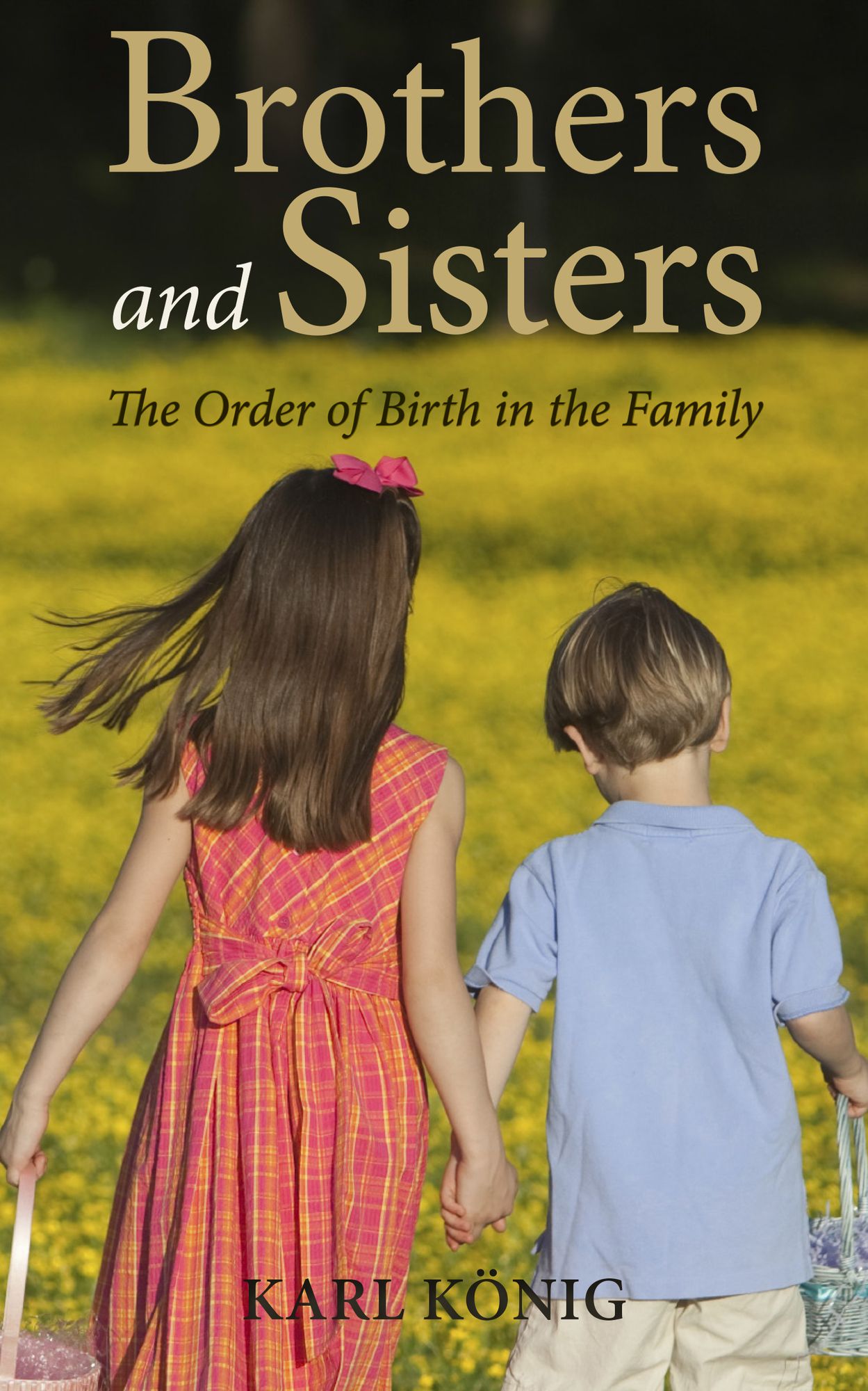 Brothers and Sisters: The Order of Birth in the Family: An Expanded Edition
