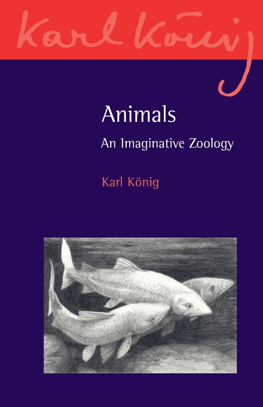 Animals: An Imaginative Zoology