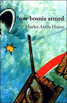 How Bosnia Armed