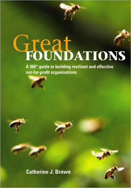 Great Foundations: A 360-degree Guide to Building Resilient and Effective Not-for-profit Organisations