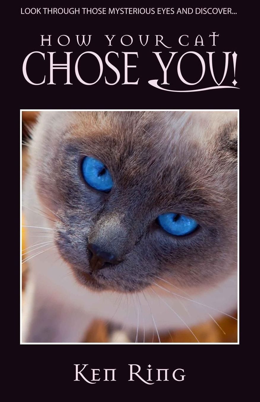 How Your Cat Chose You