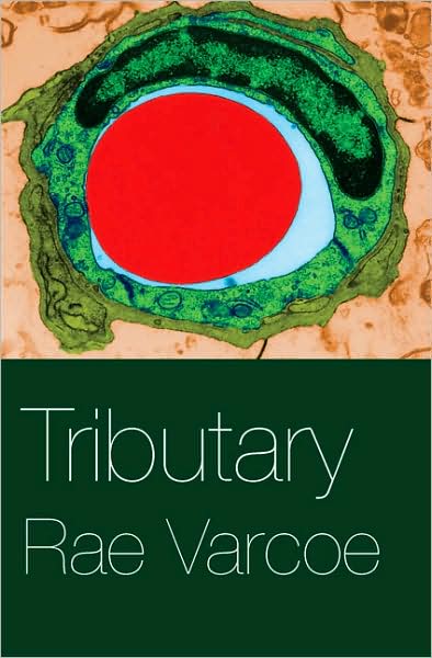 Tributary