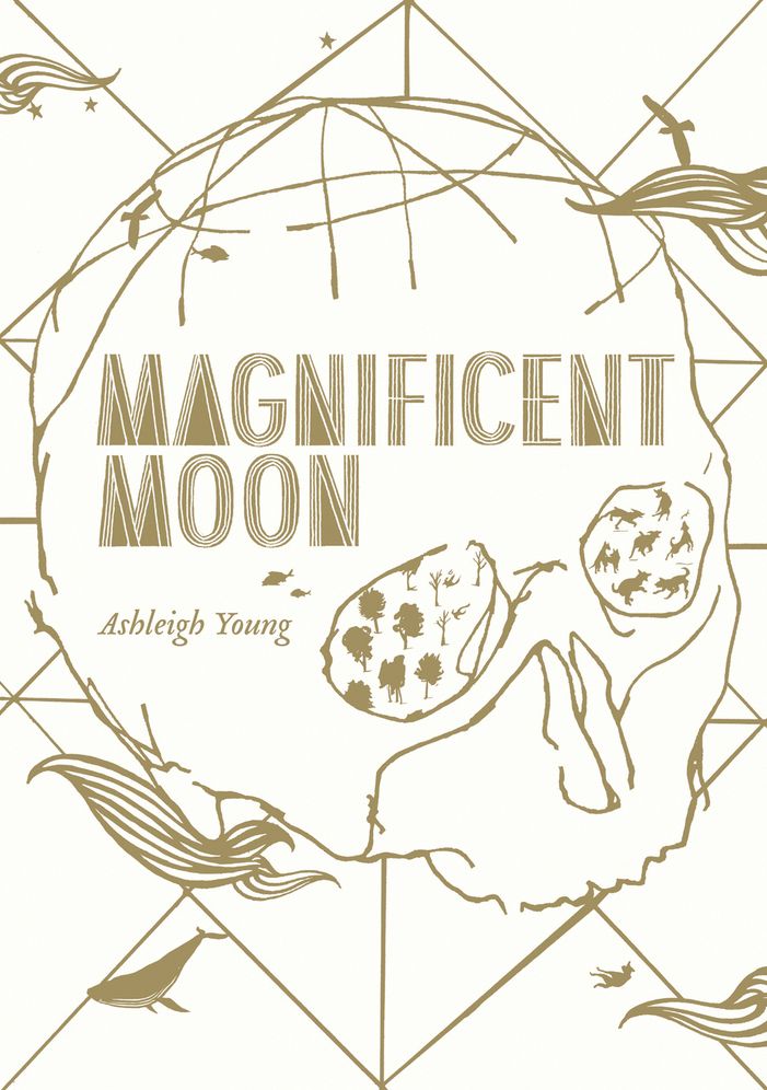 Magnificent Moon
