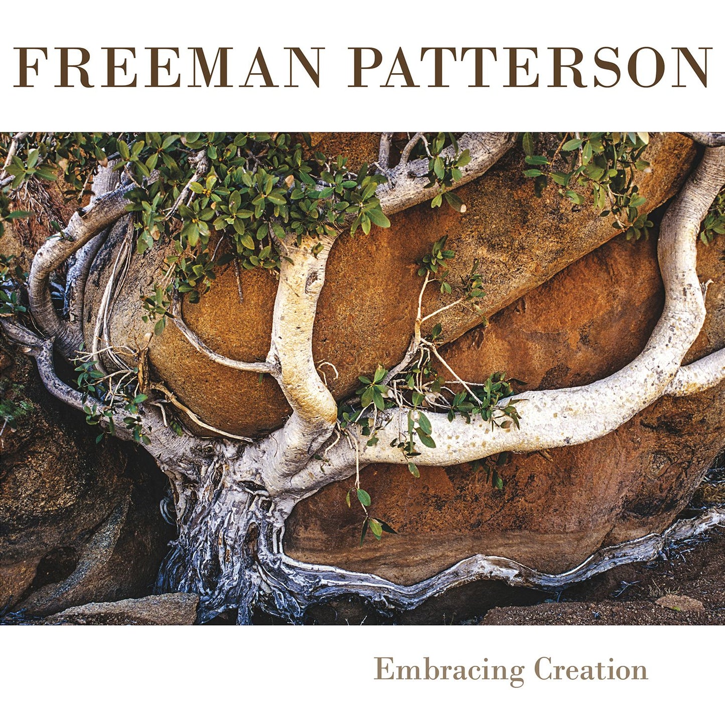 Freeman Patterson: Embracing Creation