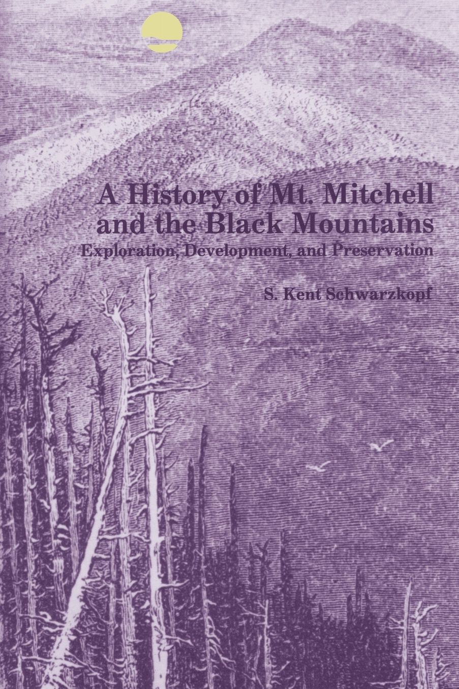 A History of Mt. Mitchell and the Black Mountains: Exploration, Development, and Preservation