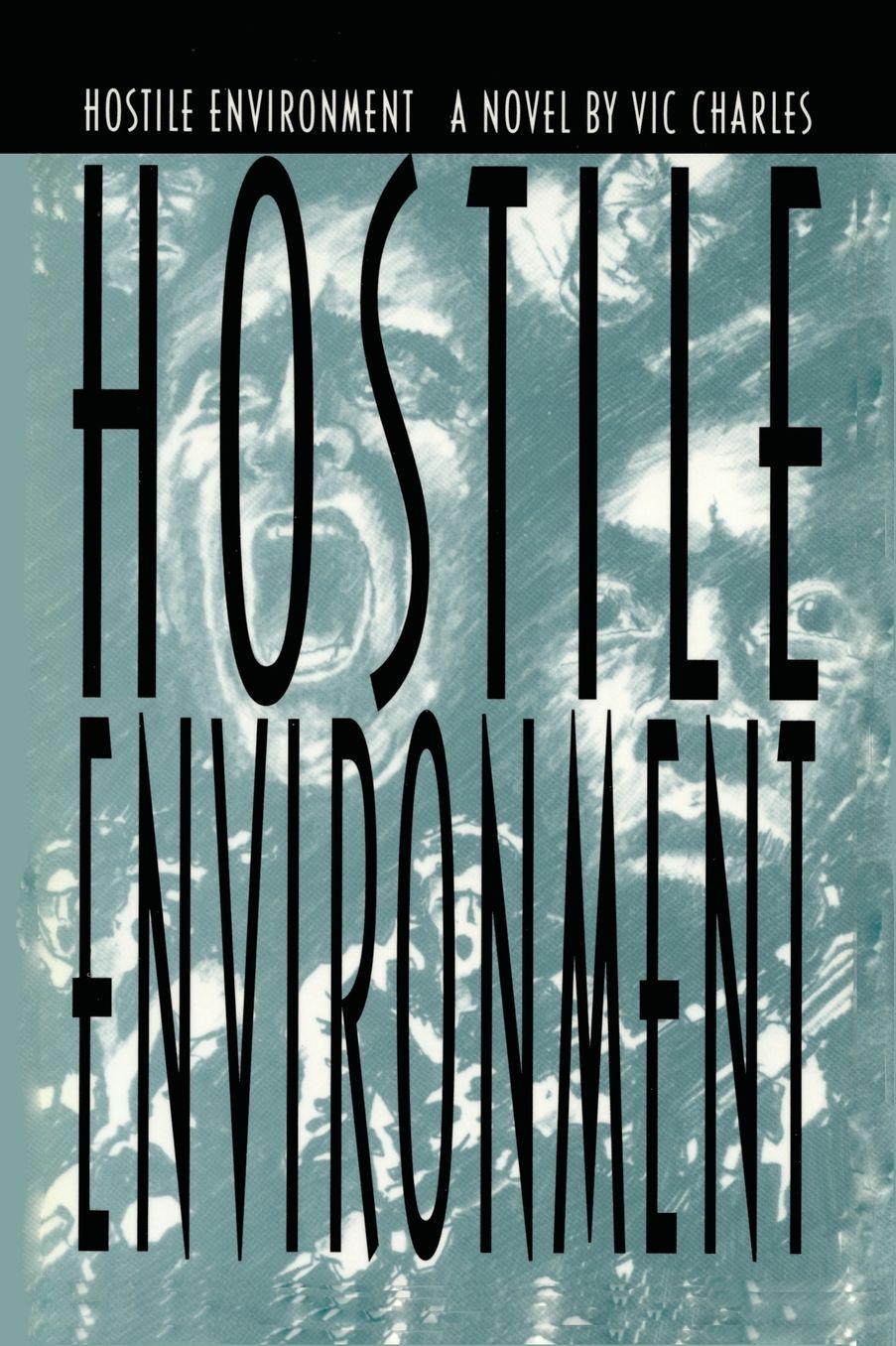 Hostile Environment