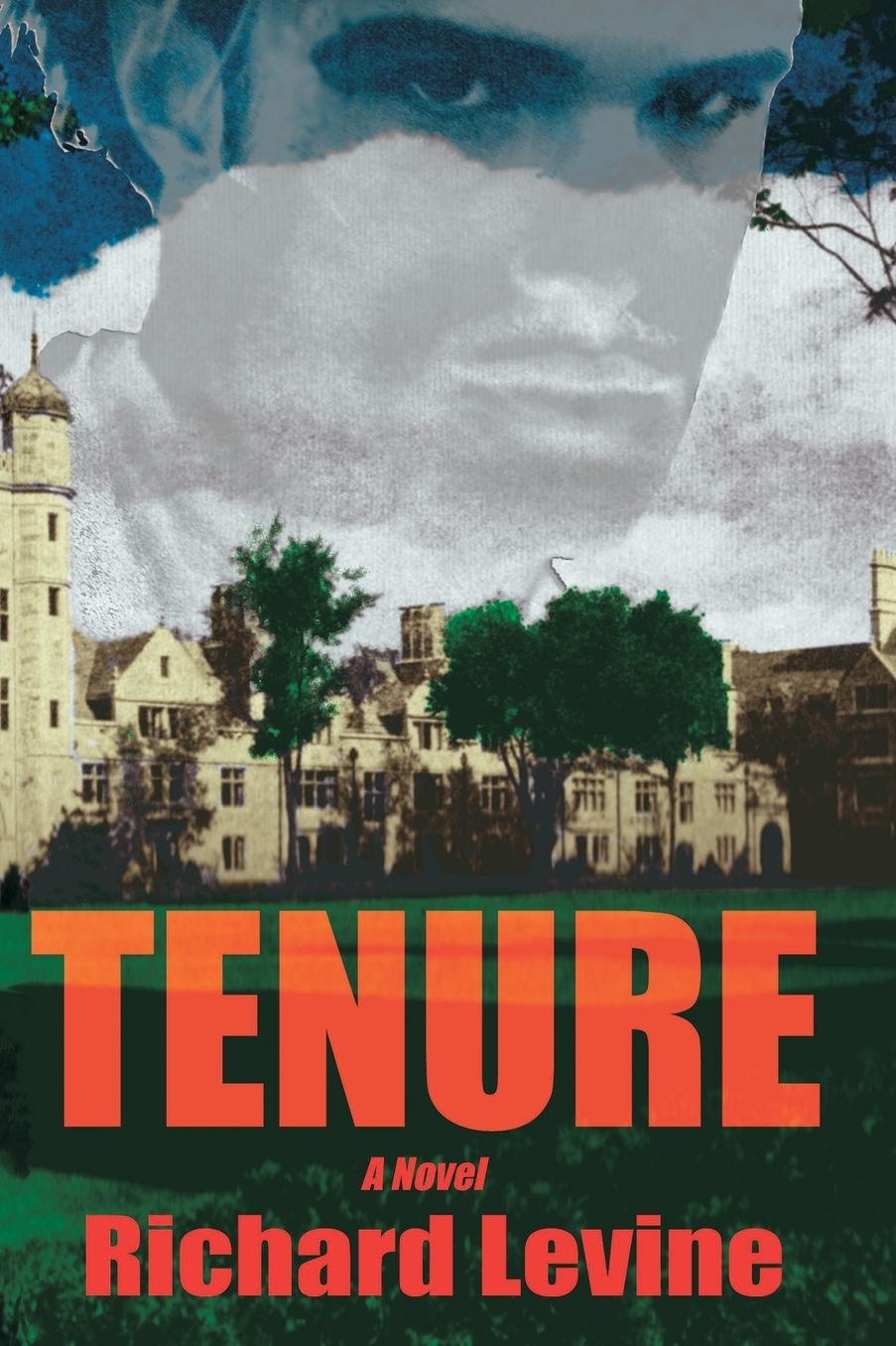 Tenure (Softcover)