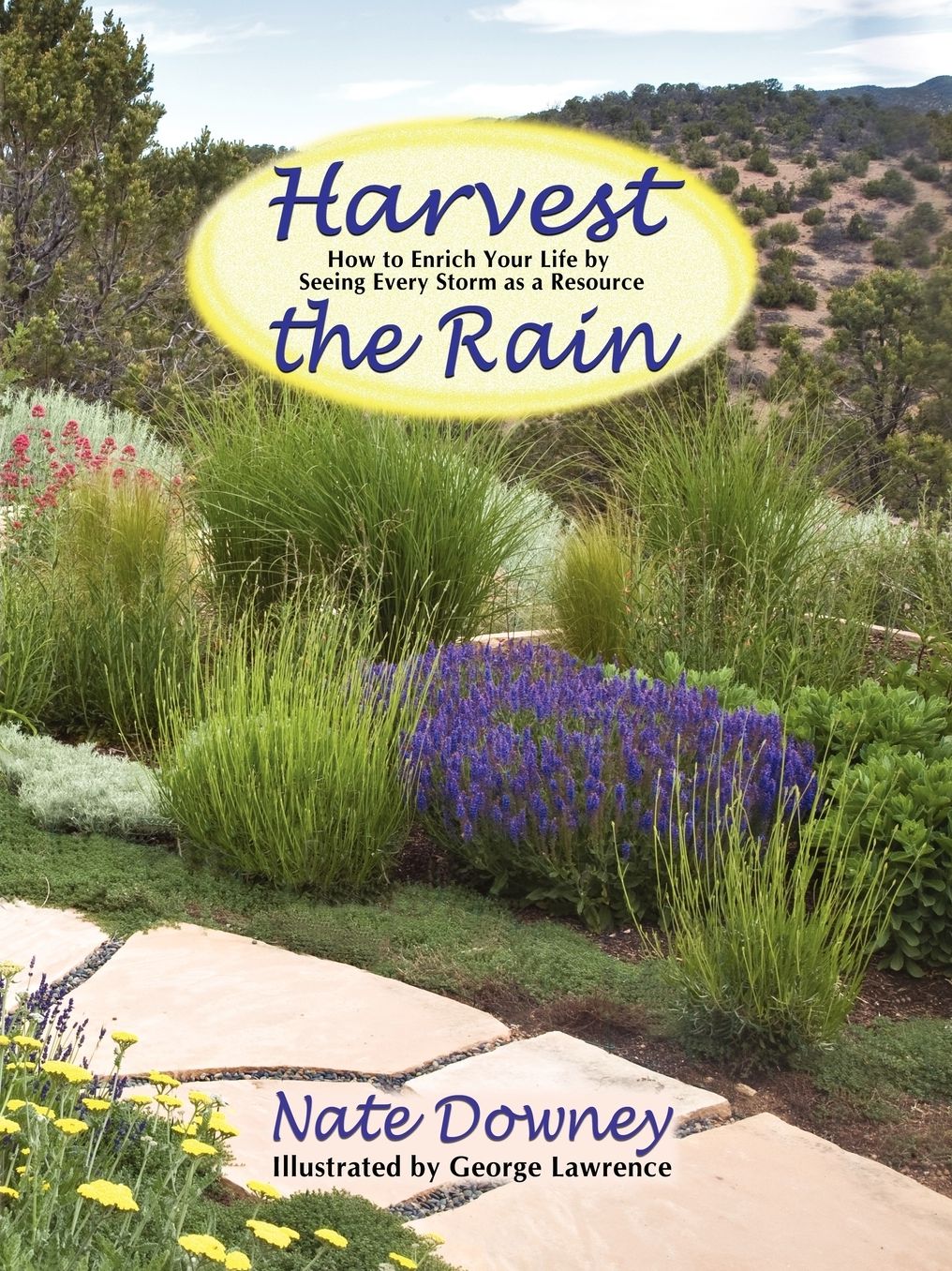 Harvest The Rain