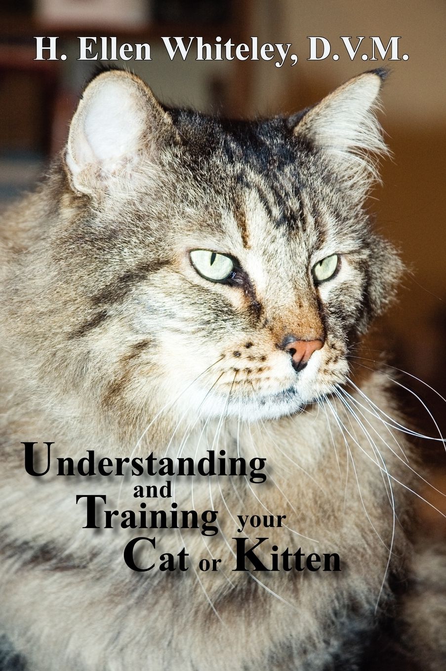 Understanding And Training Your Cat Or Kitten