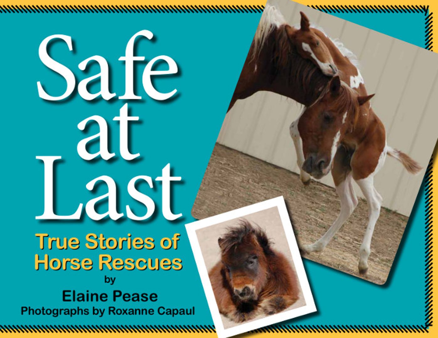 Safe at Last: True Stories of Horse Rescues