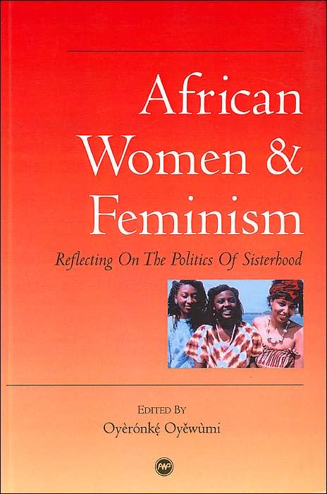 African Women and Feminism: Reflecting on the Politics of Sisterhood