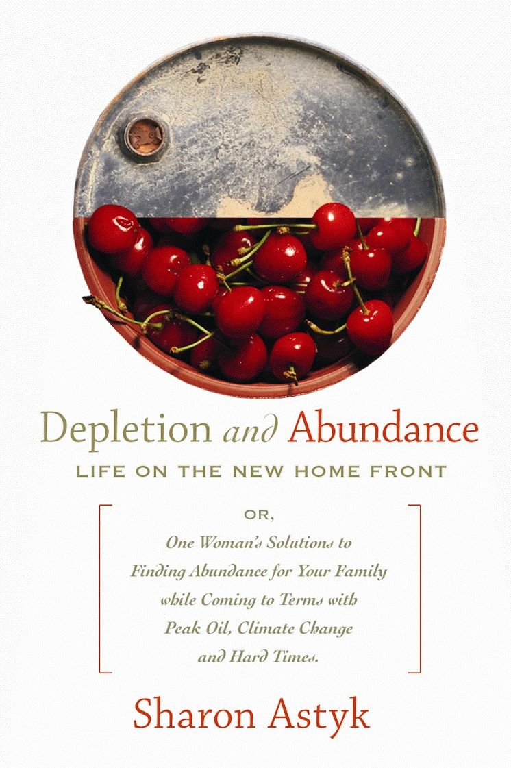 Depletion and Abundance: Life on the New Home Front