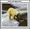 Polar Bears