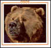 Osos (Bears)