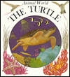Animal World: The Turtle