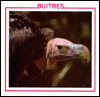Buitres (Vultures)