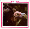 Buitres (Vultures)
