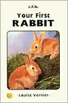 Your First Rabbit