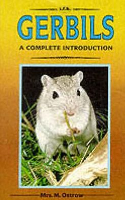 A Complete Introduction to Gerbils