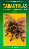Tarantulas: A Complete Introduction