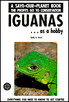Iguanas As a Hobby