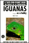Iguanas As a Hobby
