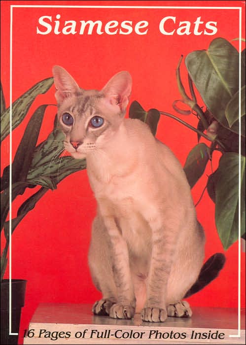 Siamese Cats
