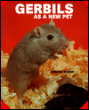 Gerbils as a New Pet