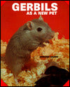 Gerbils as a New Pet