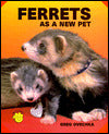 Ferrets As a New Pet