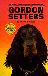 Gordon Setters