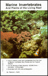 Marine Invertebrates and Plants of the Living Reef