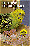 Breeding Budgerigars